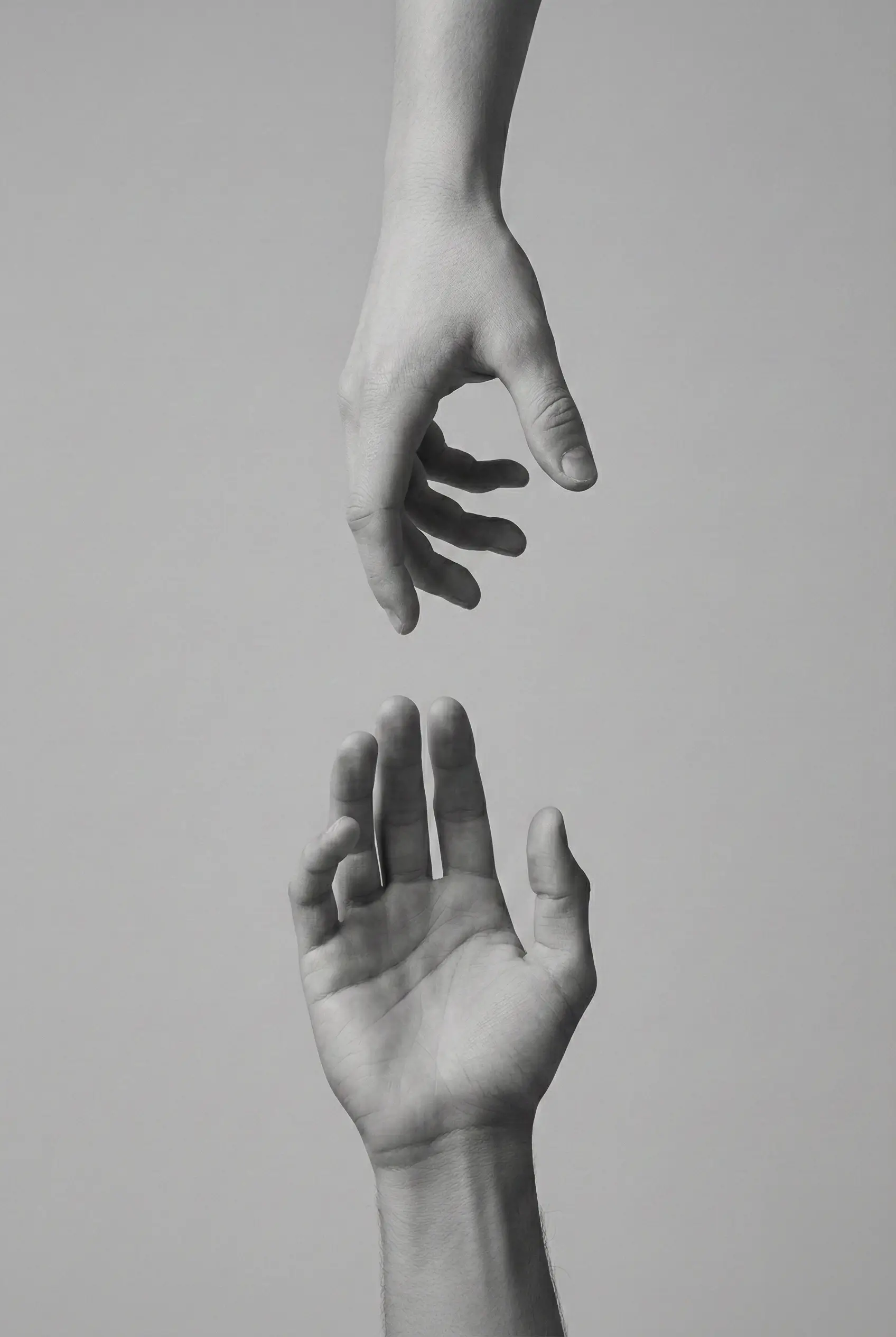 photo mains Taoz Marketing Agence